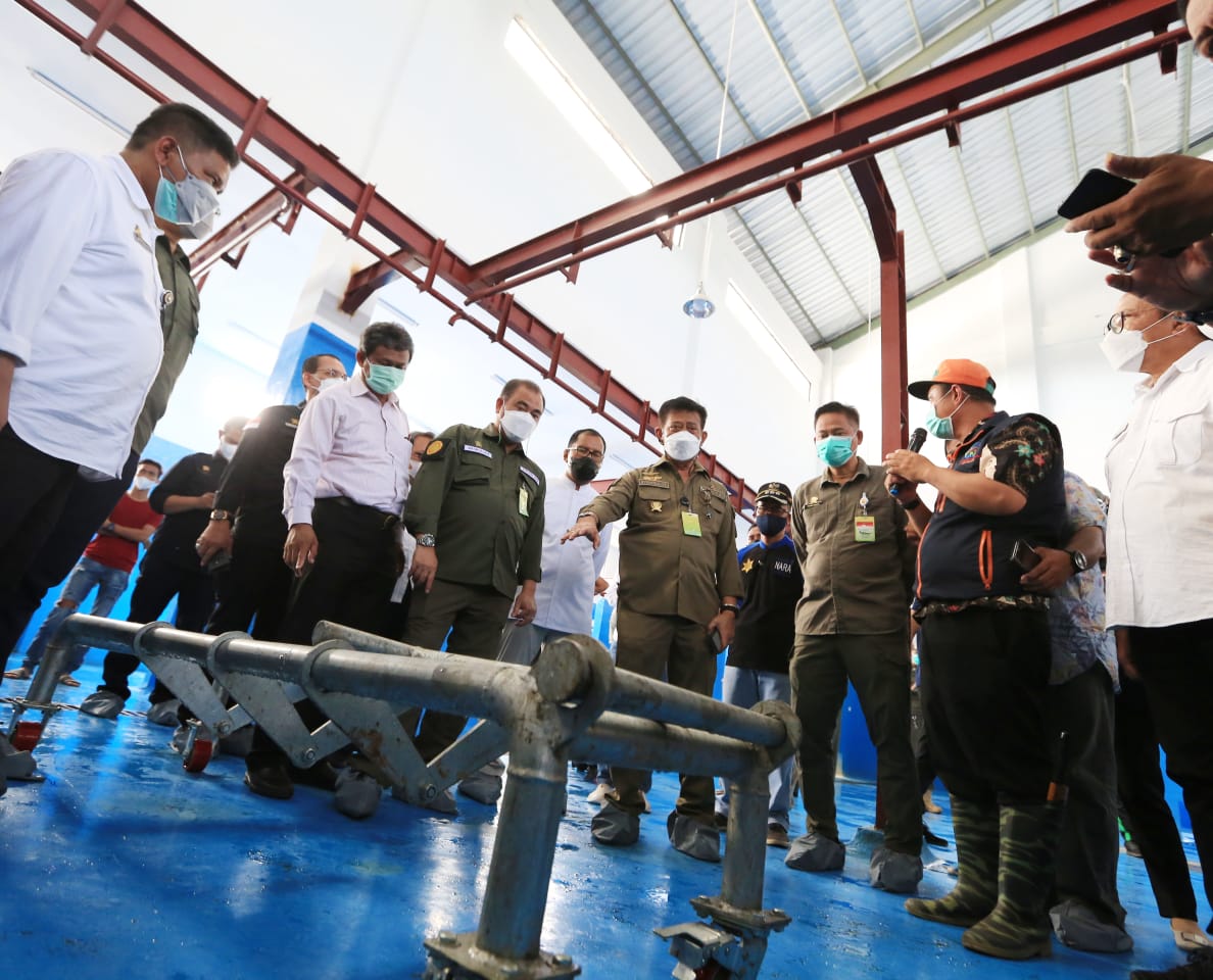 Ditemani Wali Kota, Mentan Cek Kondisi Hewan kurban Jelang Lebaran