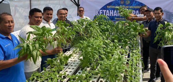 Solusi Lahan Terbatas, Rutan Makassar Hadirkan Hidroponik