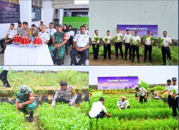 Panen Raya Serentak Nasional, Lapas Maros Menanam Kemandirian dari Balik Tembok