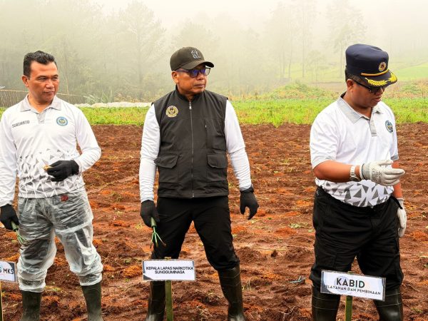Tanam Bibit Kentang di Malino, Pemasyarakatan Sulsel Dorong Pembinaan Berbasis Ketahanan Pangan